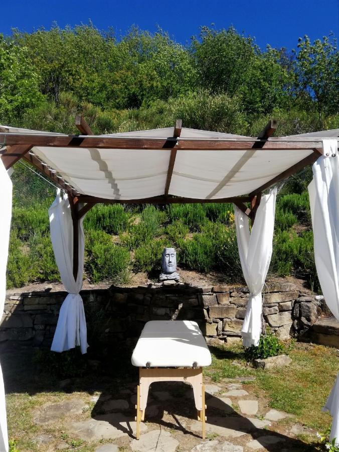 Le Ginestre Guesthouse Assisi Exterior photo